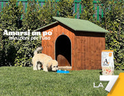 Amarsi un po' - Istruzioni per l'uso - Puntata 01/12/2024