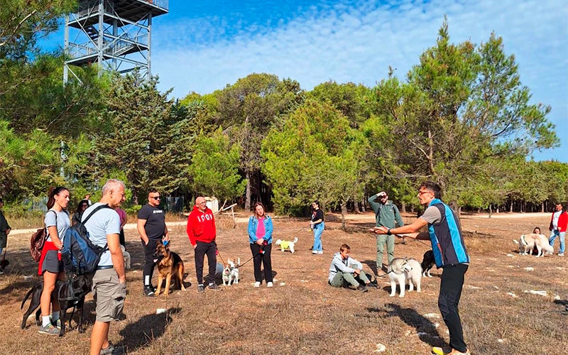 Quando il Bosco racconta storie (e i cani le ascoltano)