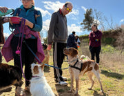 Avventura a 6 zampe: un successo a Gravina per la community Canisciolti PetCrew