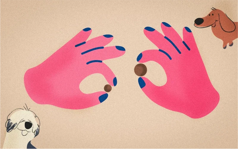 La crocchetta giusta per ogni taglia, ogni fase della vita