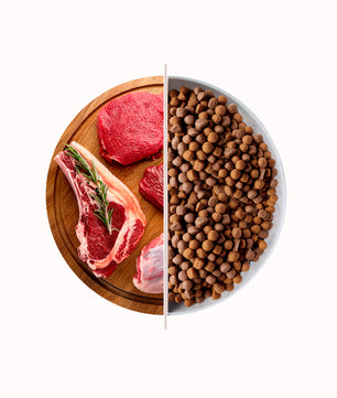 Alfa Maintenance - Cibo secco adatto al mantenimento di cani adulti di tutte le razze - 4 kg