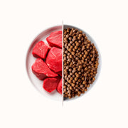 Alfa Cats - Gusto Manzo 100% italiano, alimento secco per gatti adulti sterilizzati -  2 kg