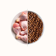 Alfa Cats - Gusto Pollo, alimento secco adatto al mantenimento di gatti adulti - 2 kg