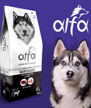Alfa Maintenance - Cibo secco adatto al mantenimento di cani adulti di tutte le razze - 20 kg