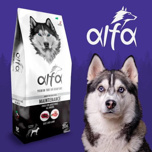 Alfa Maintenance - Cibo secco adatto al mantenimento di cani adulti di tutte le razze - 20 kg