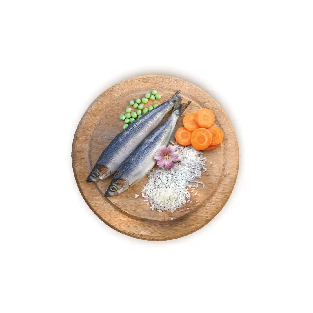 Althea gatto Sterilised - con pesce, alimento secco super premium adatto per gatti adulti satellizzati- 5 kg