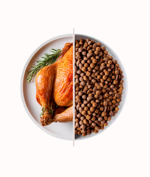 Top Cats Chicken - Gusto Pollo, alimento secco adatto al mantenimento di Gatti Adulti di tutte le razze - 20 kg