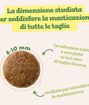 Top Chicken - Gusto Pollo, cibo secco adatto al mantenimento di Cani Adulti di di tutte le taglie - 10 kg