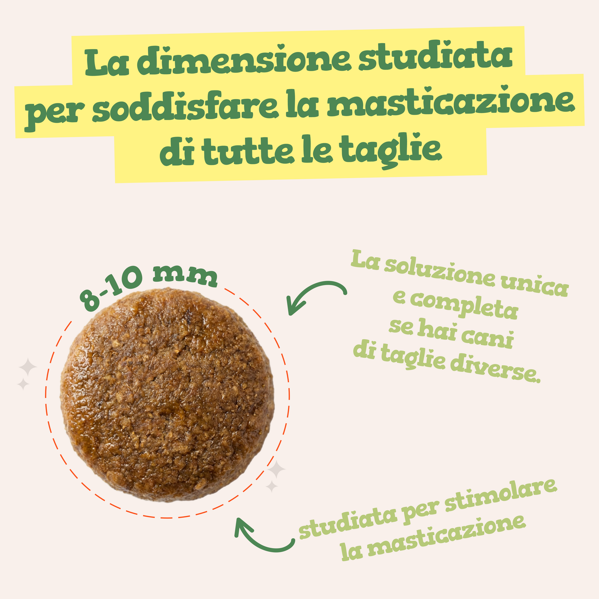 Top Chicken - Gusto Pollo, cibo secco adatto al mantenimento di Cani Adulti di di tutte le taglie - 10 kg
