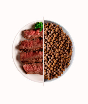 Top Beef - Gusto manzo, cibo secco adatto al mantenimento di cani adulti di tutte le taglie - 10 kg