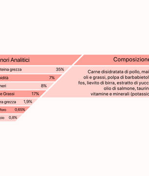 Top Kitten - Gusto Pollo, cibo secco adatto all'accrescimento di Gatti Cuccioli di tutte le razze - 10 kg