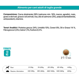Top Salmon - Gusto Salmone, cibo secco per il mantenimento di cani adulti di tutte le taglie - 10 kg