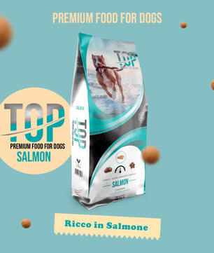 Top Salmon - Gusto Salmone, cibo secco  completo formulato per il mantenimento di cani adulti di taglia grande - 20 kg