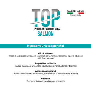 Top Salmon - Gusto Salmone, cibo secco  completo formulato per il mantenimento di cani adulti di taglia grande - 20 kg