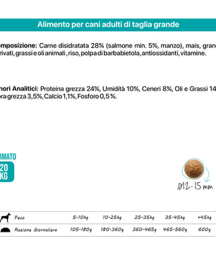 Top Salmon - Gusto Salmone, cibo secco  completo formulato per il mantenimento di cani adulti di taglia grande - 20 kg