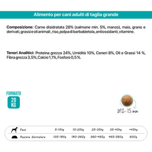 Top Salmon - Gusto Salmone, cibo secco  completo formulato per il mantenimento di cani adulti di taglia grande - 20 kg